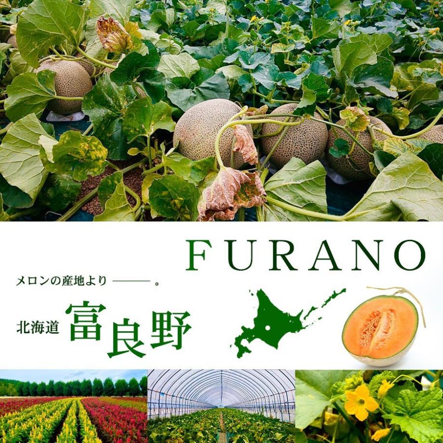 父の日 メロン 北海道 ふらのメロン1.6kg 1玉入 父の日カード対応 富良野メロン 送料無料 同梱不可｜kitauroko｜02