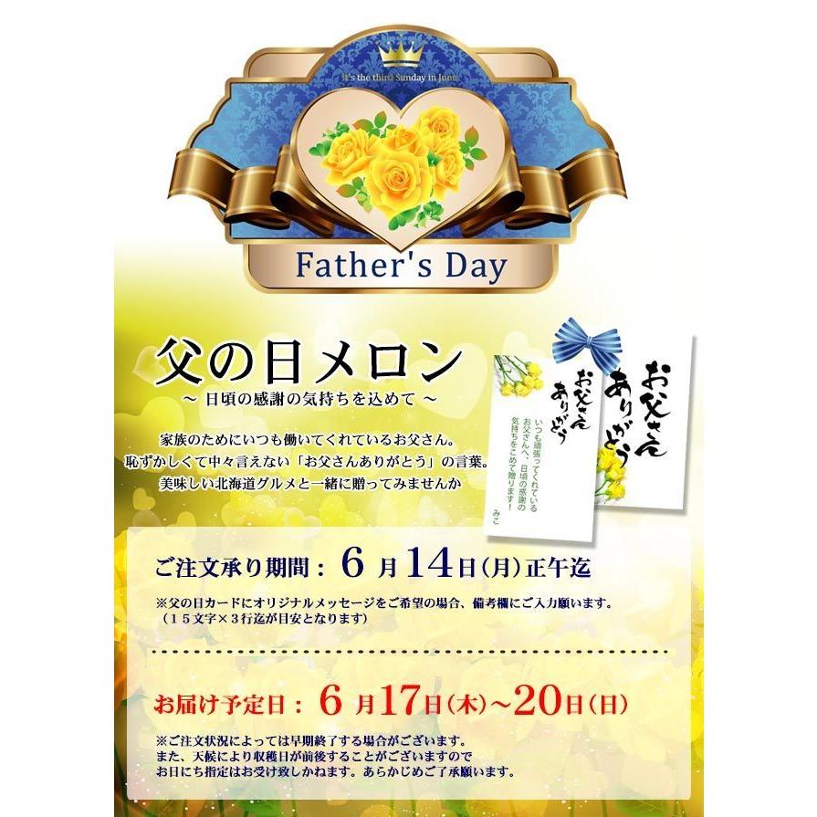 父の日 メロン 北海道 ふらのメロン1 6kg 1玉入 父の日カード対応 富良野メロン 送料無料 同梱不可 2 Mel 0019 Krk カニのキタウロコ 通販 Yahoo ショッピング