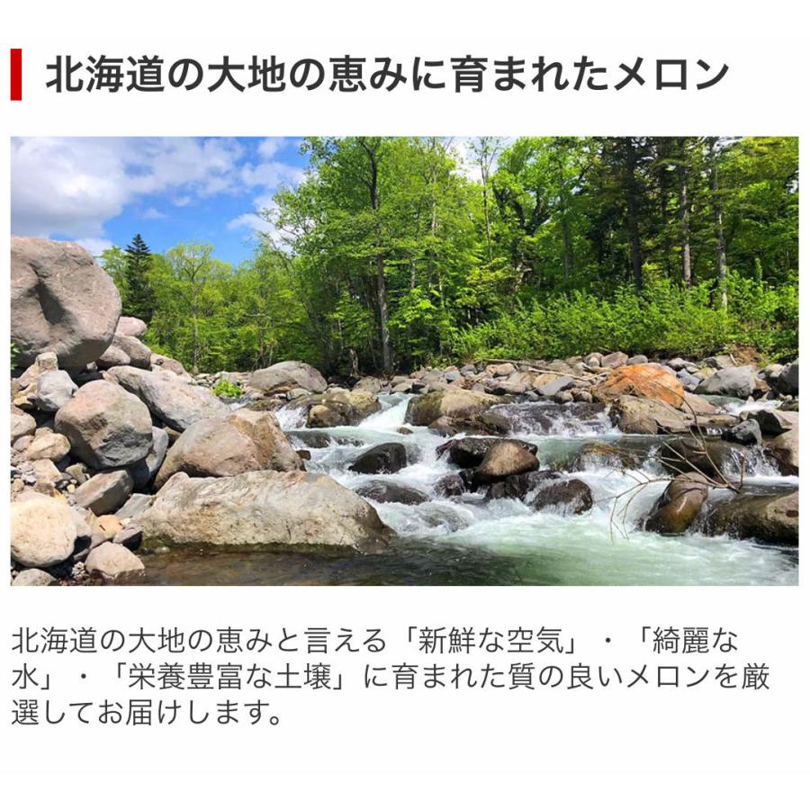 予約 富良野 メロン 約1.6kg 1玉 お中元 ギフト 北海道産 優品 または 秀品 送料無料 同梱不可 御中元 のし対応 爆買 | JAふらの | 04