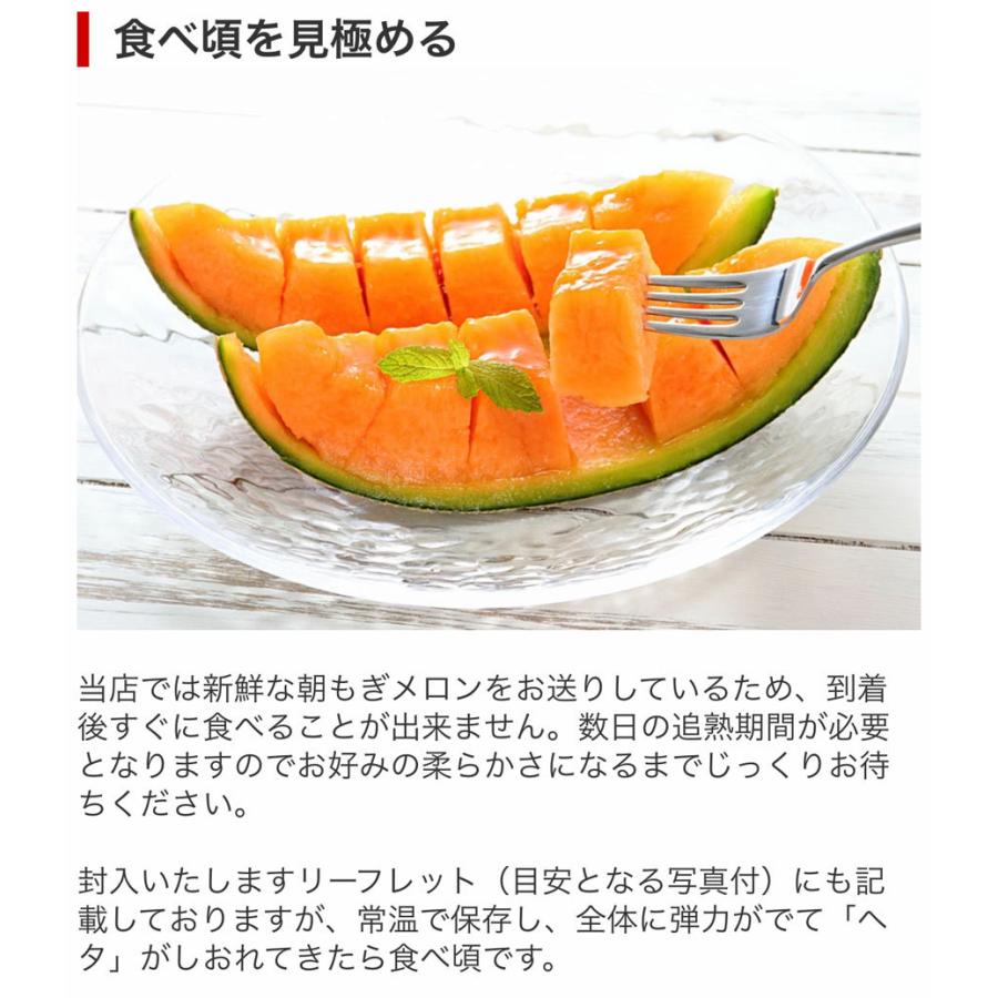 JAふらの 予約 富良野 メロン 約1.6kg 1玉 お中元 ギフト 北海道産