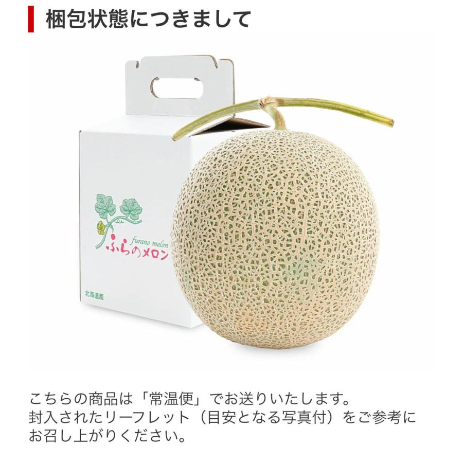 JAふらの 予約 富良野 メロン 約1.6kg 1玉 お中元 ギフト 北海道産