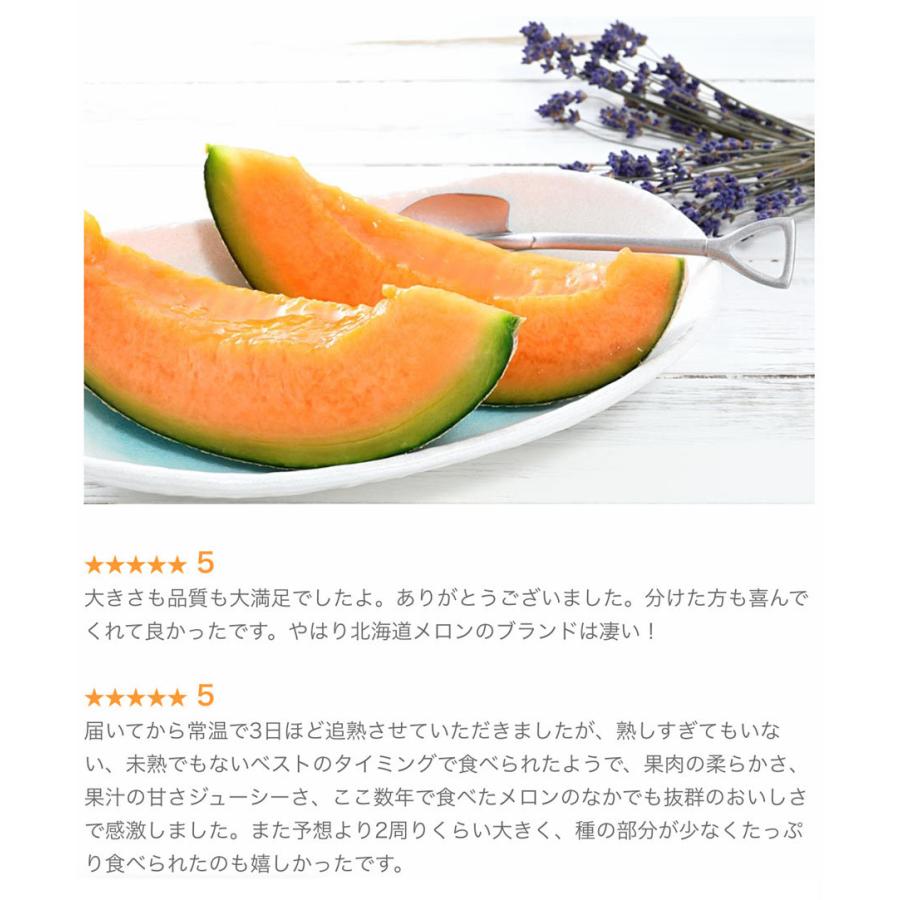 【ヤフショセット販売】予約 富良野 メロン 約3.2kg (2玉入) 北海道産 優品 または 秀品 送料無料 同梱不可 お中元 御中元 ギフト のし対応 ヤフショ限定規格 爆買 | JAふらの | 02