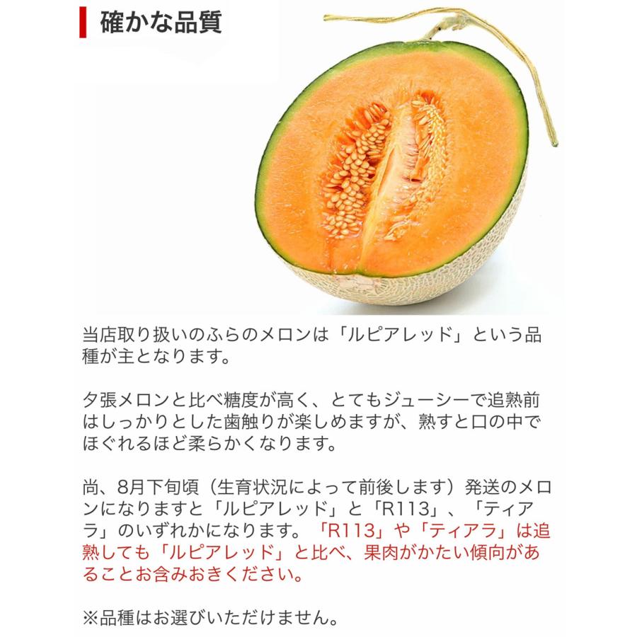 【ヤフショセット販売】予約 富良野 メロン 約3.2kg (2玉入) 北海道産 優品 または 秀品 送料無料 同梱不可 お中元 御中元 ギフト のし対応 ヤフショ限定規格 爆買 | JAふらの | 07