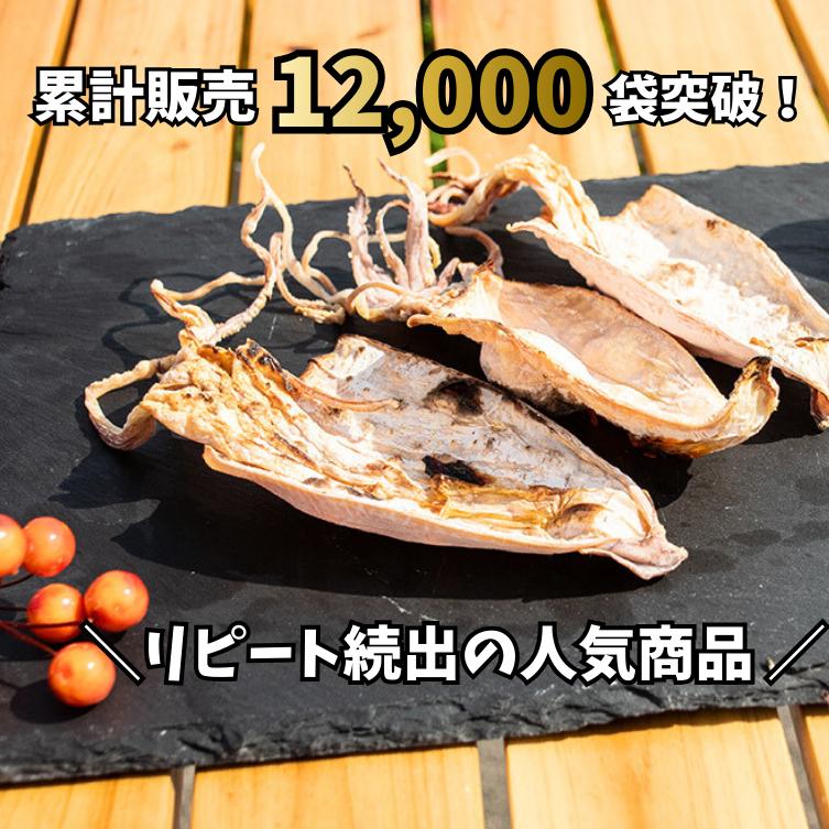 剣先するめ 200g 100g2袋 おつまみ・酒の肴に最適 珍味 スルメ けん