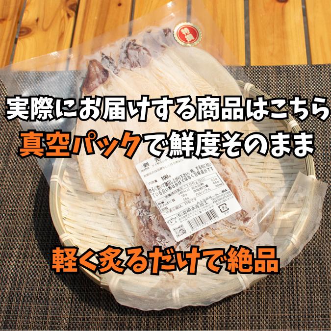 スルメ様 剣先するめ 200g 100g2袋 おつまみ・酒の肴に最適 珍味 スルメ けん