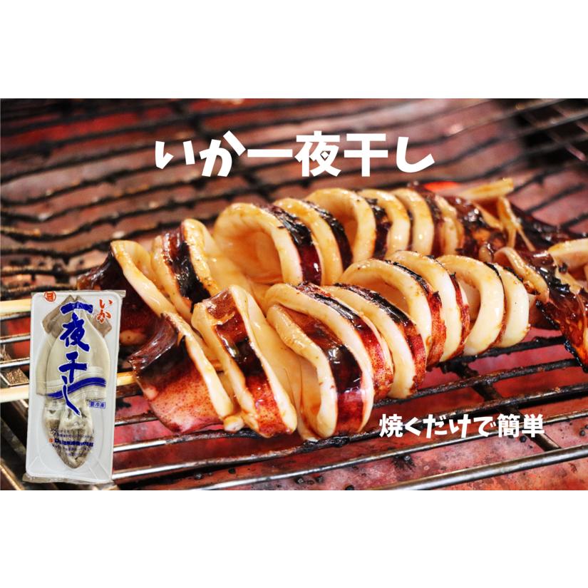 イカ一夜干し 10袋 いか マルヨ水産 イカ 一夜干し 合計4.5kg以上の画像