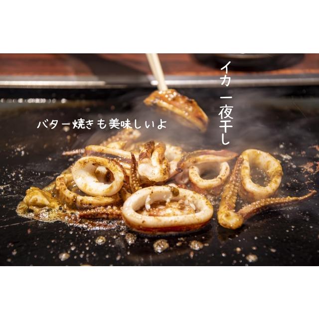 イカ一夜干し 10袋 いか マルヨ水産 イカ 一夜干し 合計4.5kg以上の画像