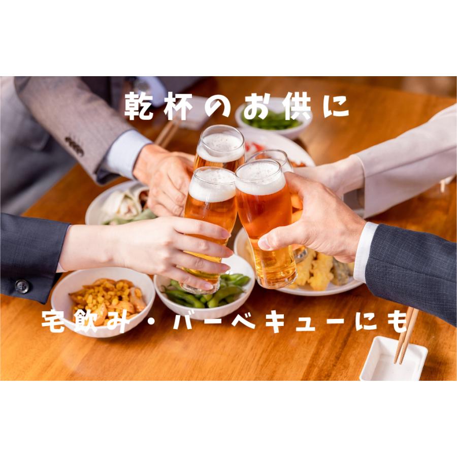 イカ一夜干し 10袋 いか マルヨ水産 イカ 一夜干し 合計4.5kg以上の画像