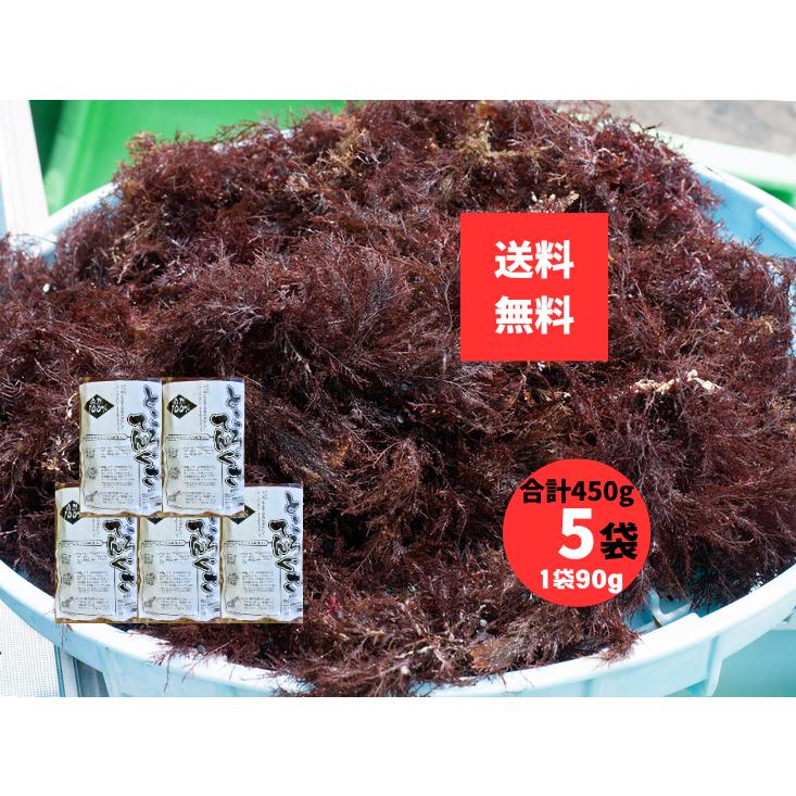 ところてんぐさ 長崎県産 天草 90g×5袋 合計450g 国産 天然 てんぐさ