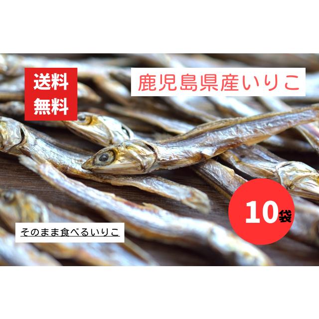 鹿児島県産 食べるいりこ 10袋 極上煮干し おつまみ 出汁 片口いわし