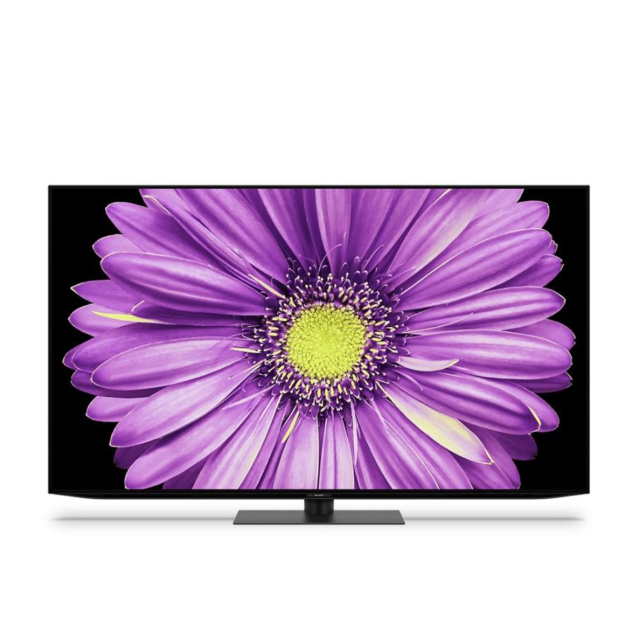 関東・関西指定エリア 送料/設置無料】シャープ 4T-C65DQ2 65インチ 4K  