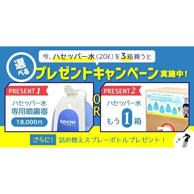 【再入荷】次亜塩素酸水 200ppm 20L 大容量 除菌 ウイルス対策 楽天市場】次亜塩素酸水 200ppm 20L 微酸性 ウイルス対策