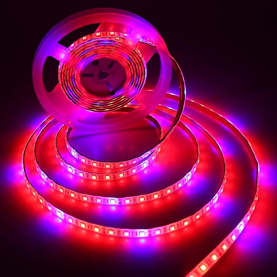 Sunvic Led植物育成用 テープライト 室内栽培ランプ 5050smd 水耕栽培 水槽照明 観葉植物 園芸 防水 Dc 12v 5m 300smd Su Jk501 Fba Sunvic合同会社 通販 Yahoo ショッピング