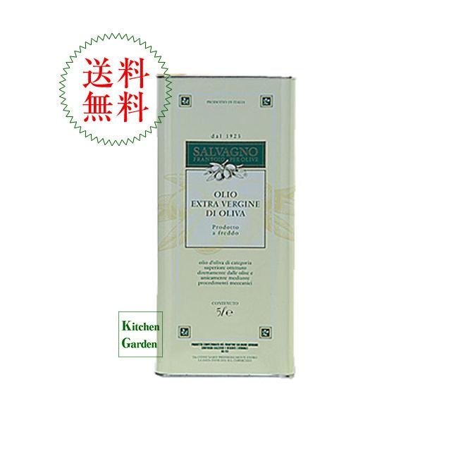 ポイント10倍 サルバーニョ エキストラヴァージンオリーブオイル５０００ｍｌ 輸入食品 メール便なら送料無料 Www Technet 21 Org