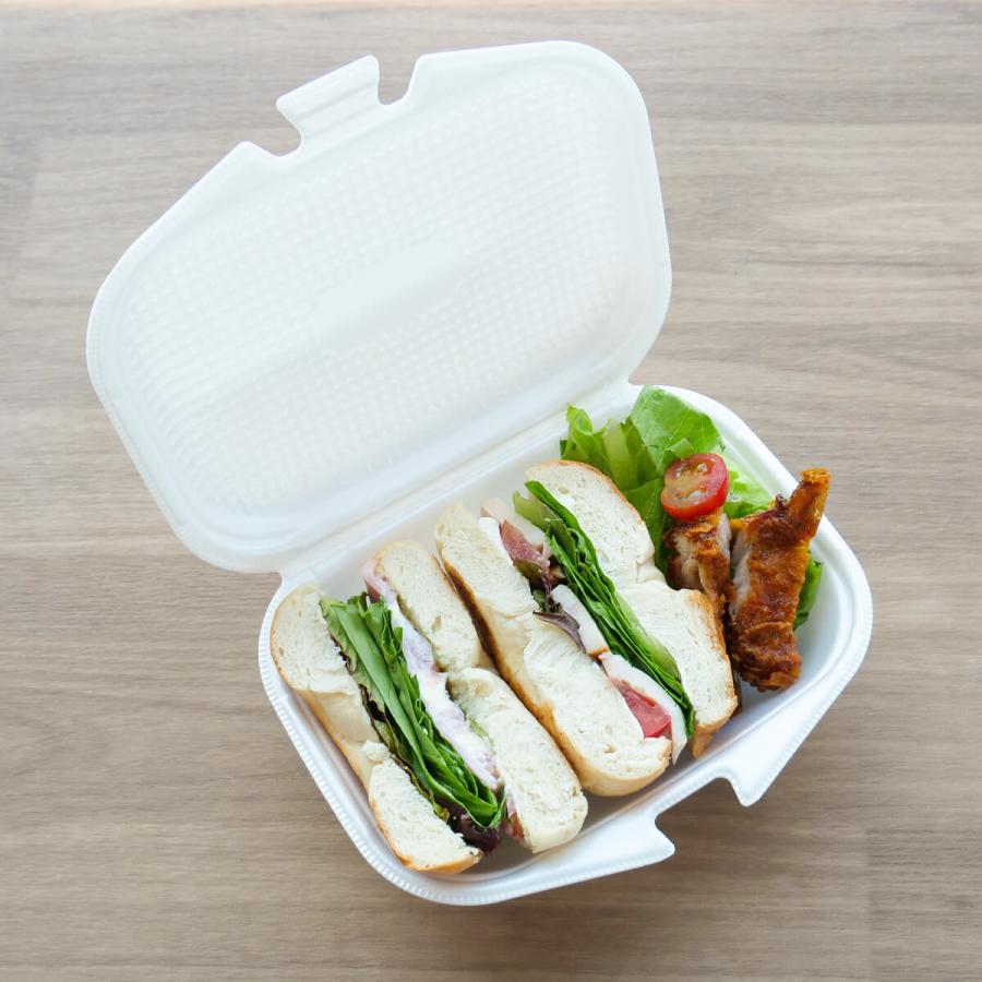 DLVランチ18-15白 480枚_7