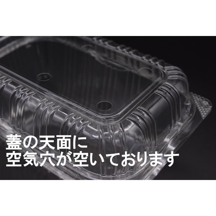 フルーツIG250gフード付き防曇 1000枚入 いちご イチゴ 苺 直売所 農園