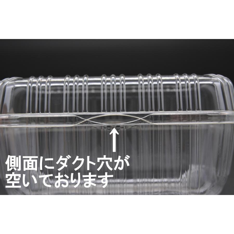 フルーツIG250gフード付き防曇 1000枚入 いちご イチゴ 苺 直売所 農園