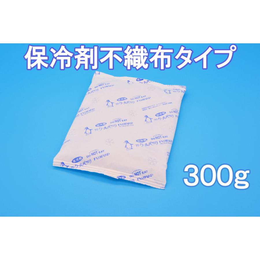 保冷剤　蓄冷剤　結露防止タイプ　フジクールパック不織布タイプ300g　CP-300F | 