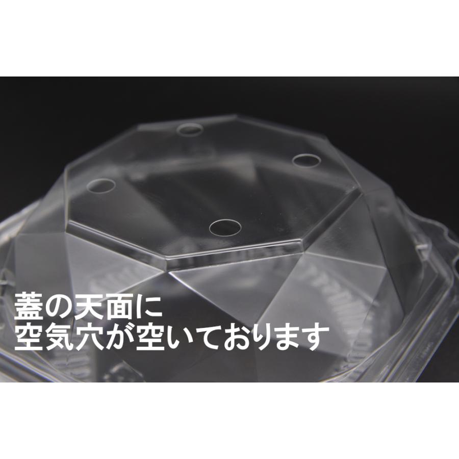 BL300.4H 800枚入 いちご イチゴ 苺 直売所 農園 道の駅 いちご狩り