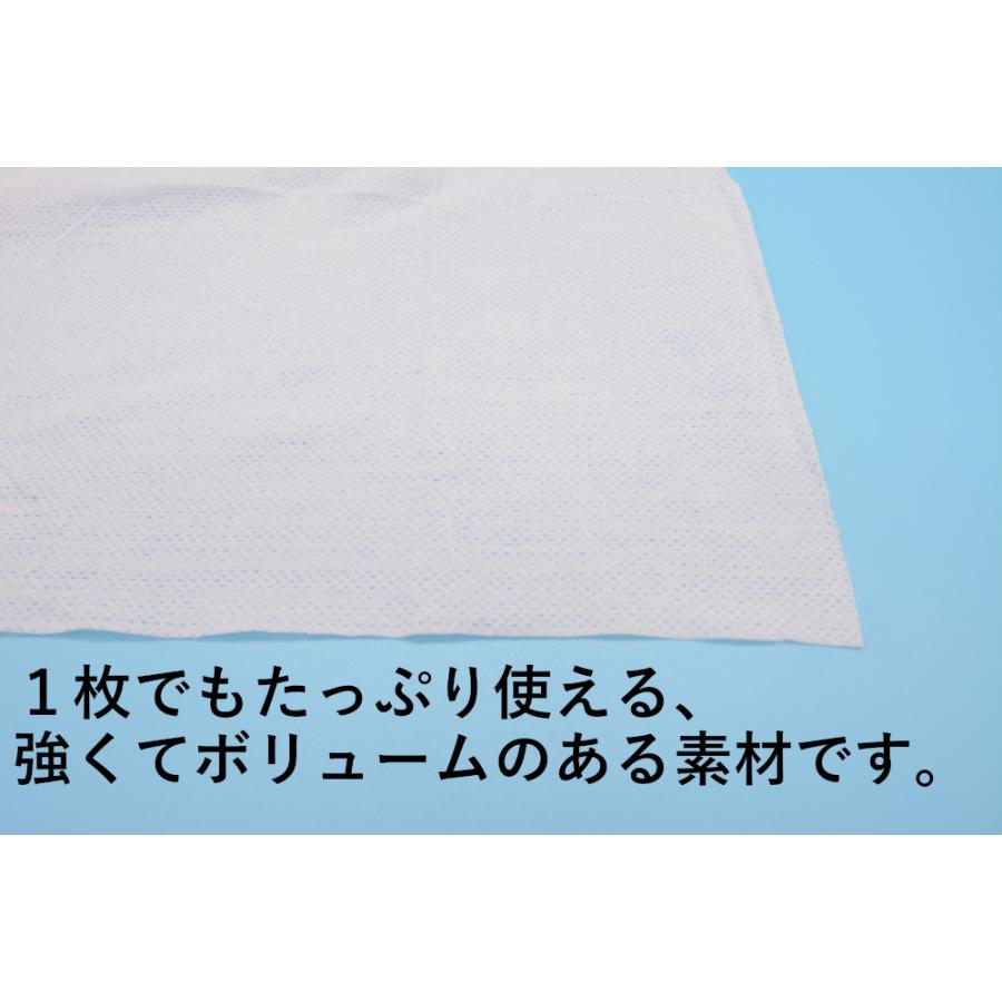 フジ ボディケアタオル超大判 400本入 280×500mm　使い捨て ウェット ノンアルコール 個包装 保湿剤 温め可能 医療 入院病棟 検診センター 介護施設 住宅介護 |  | 04