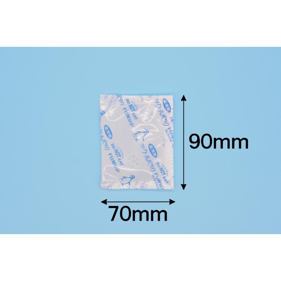 保冷剤　蓄冷剤　フジクールパック30g　CP-30 |  | 01