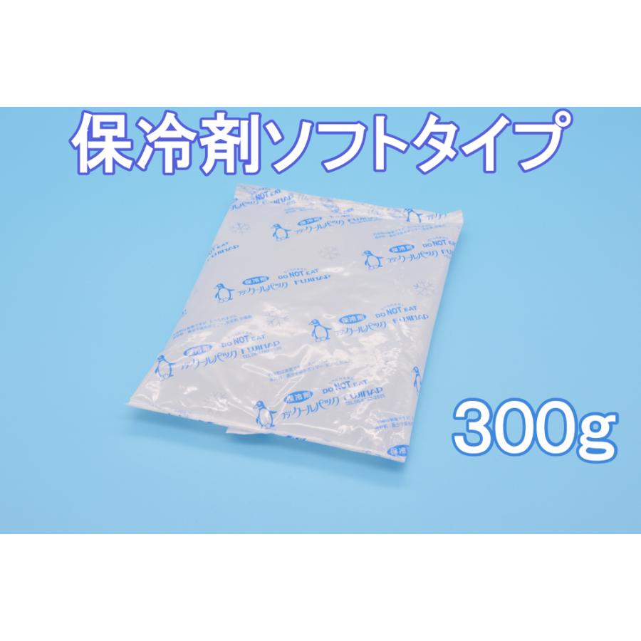 保冷剤　蓄冷剤　フジクールパック300g　CP-300 | 