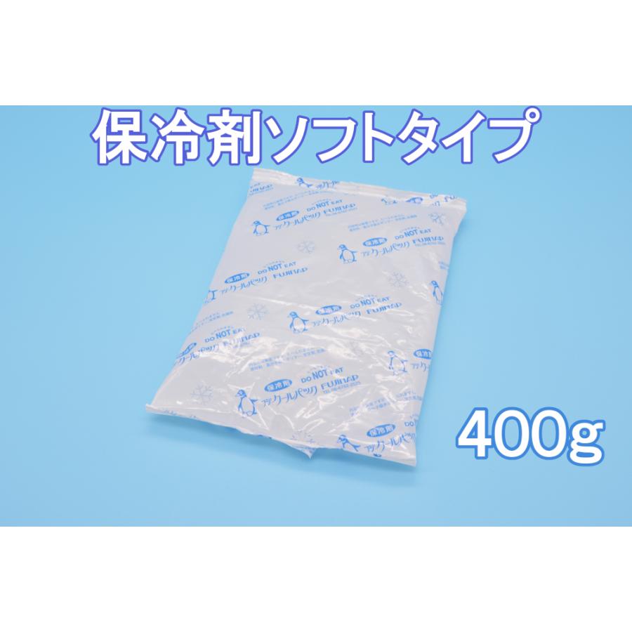 保冷剤　蓄冷剤　フジクールパック400g　CP-400 | 