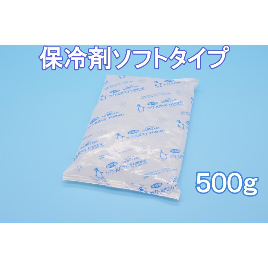 保冷剤　蓄冷剤　フジクールパック500g　CP-500 | 