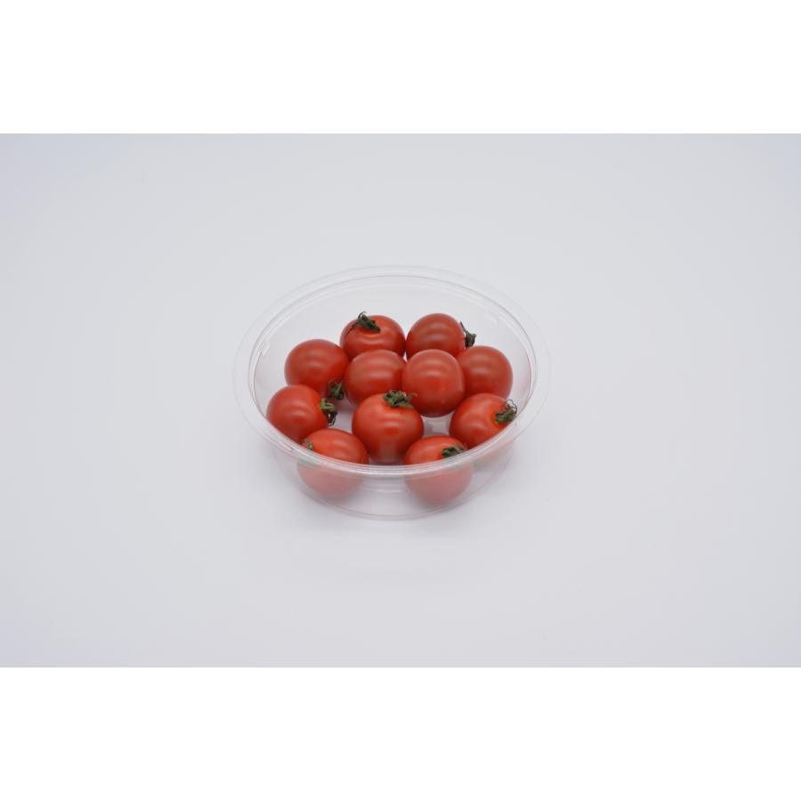 PC-300MB本体(V) 1000枚入 トマト ミニトマト プチトマト : キッチン