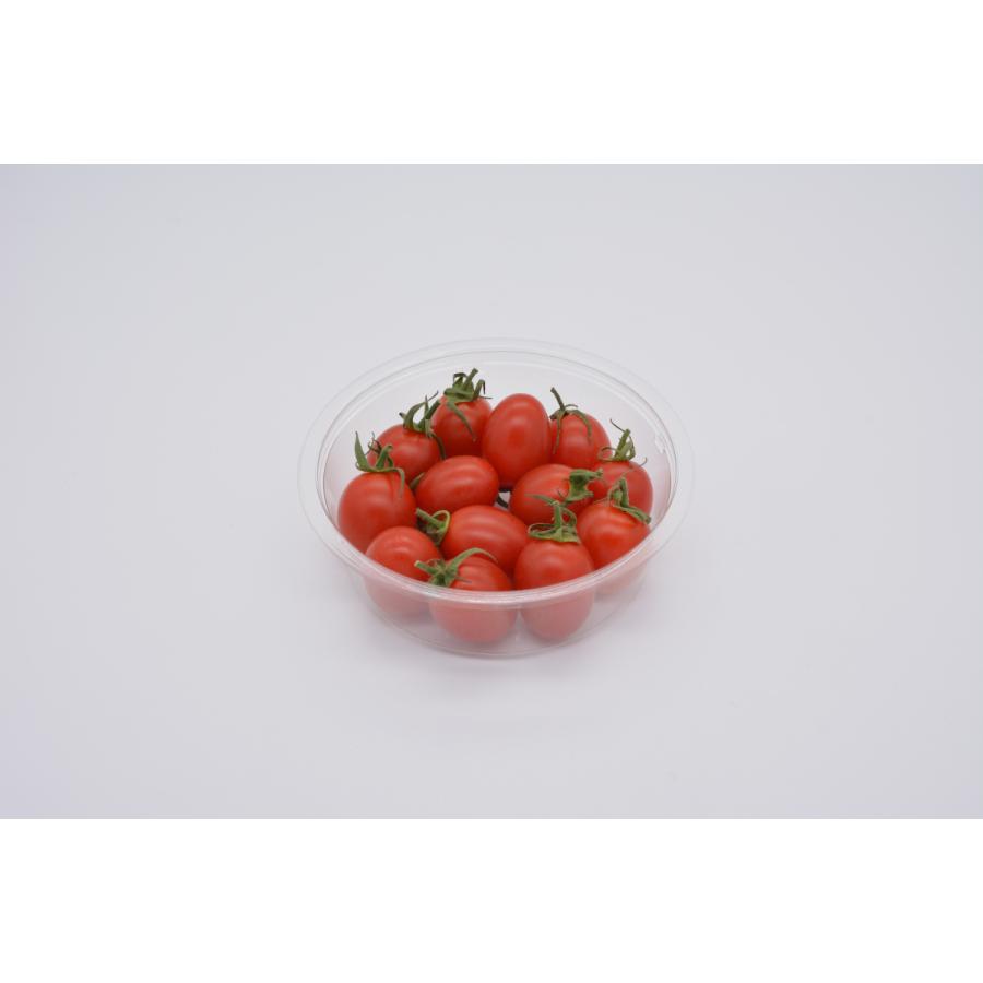 PC-300MB本体(V) 1000枚入 トマト ミニトマト プチトマト : キッチン