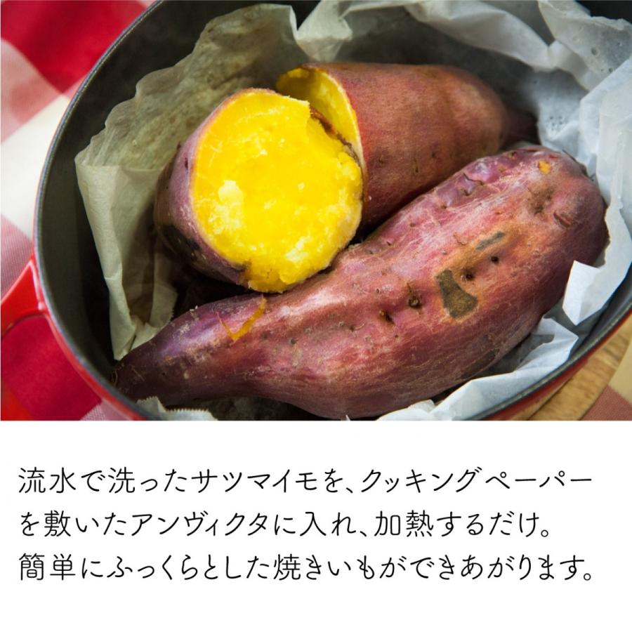 鋳物ホーロー鍋 オーバル 27cm IH対応 フランス製 アンヴィクタ INVICTAの画像