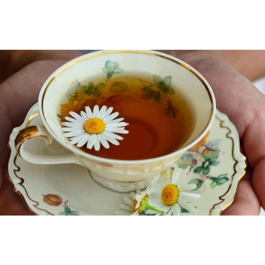 さし草花茶２パックセット 0007 キッチンのぎオンラインストア 通販 Yahoo ショッピング