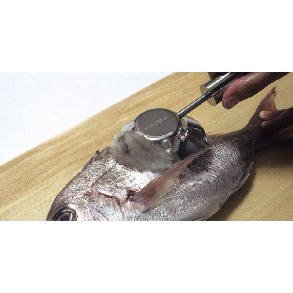 銀鱗 ウロコ取り 魚の下処理｜kitchen-yorozu｜02