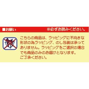 山田工業所 鉄打出広東鍋 39cm |  | 01