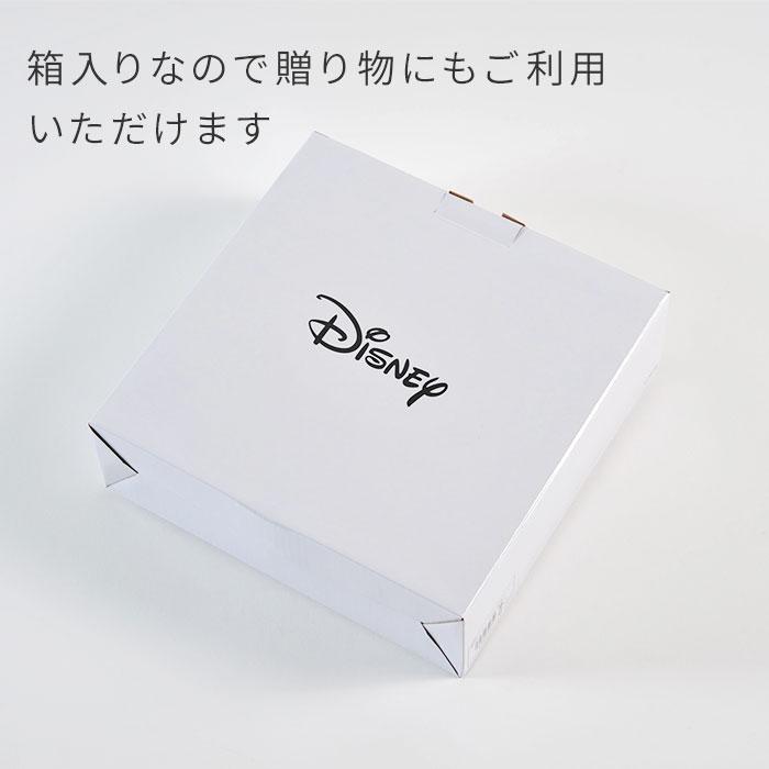 ディズニー パスタ カレー セット グリーン Disney プレート 皿 食器
