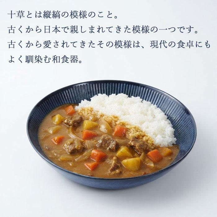 釉十草 カレー皿 24cm 青釉 あおゆう 51520 Maebata ネイビー 青 縦縞 前畑 パスタ皿 ボウル プレート 電子レンジ対応 食洗機対応 食器 和食器 | maebata | 01