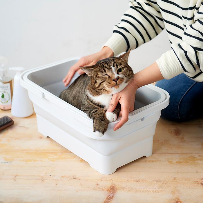 ソフトバスケット 15L ハンドル付き 折りたたみ 伊勢藤 I-581 ホワイト 大容量 コンパクト 収納 日本製 ISETO |  | 03