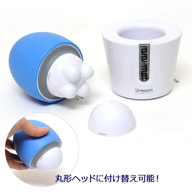 オレゴンクロック　ぶるっち（OREGON　BL）＜ブルー＞ |  | 01