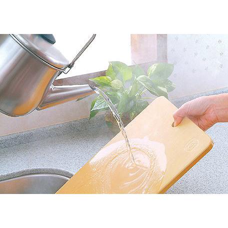 クリーンスター 抗菌まな板 小 （ Sサイズ ） 【 テクノ月星 ムーン