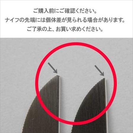 【12本までメール便可】Cutipol クチポール GOA ゴア グレイ　GO03GR テーブルナイフ 直輸入品 | Cutipol | 01