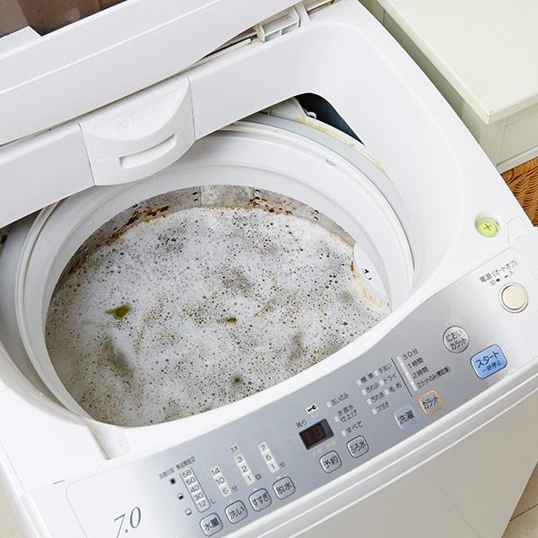 木村石鹸　洗濯槽の洗浄剤B　全自動洗濯機用　300g　 |  | 04