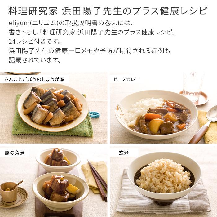 ワンダーシェフ wonder chef鍋 両手鍋 エリユム eliyum 未使用 製品
