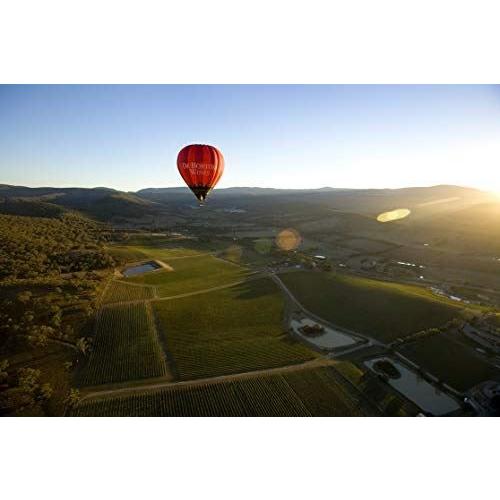 デ ボルトリ ディービー　ロゼ 750ml＜12本セット＞ロゼワイン 辛口 オーストラリア【キャンセル・返品・交換不可】 |  | 01