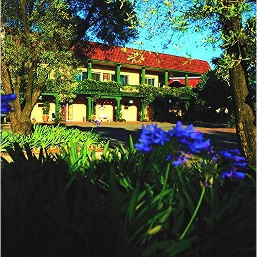 デ ボルトリ ディービー　ロゼ 750ml＜12本セット＞ロゼワイン 辛口 オーストラリア【キャンセル・返品・交換不可】 |  | 02