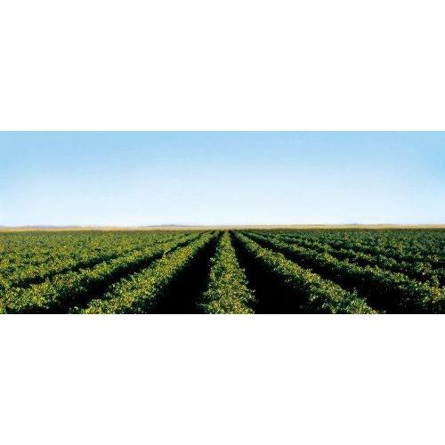 デ ボルトリ ディービー　ロゼ 750ml＜12本セット＞ロゼワイン 辛口 オーストラリア【キャンセル・返品・交換不可】 |  | 03