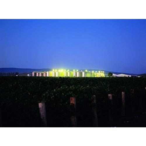 デ ボルトリ ディービー　ロゼ 750ml＜12本セット＞ロゼワイン 辛口 オーストラリア【キャンセル・返品・交換不可】 |  | 04