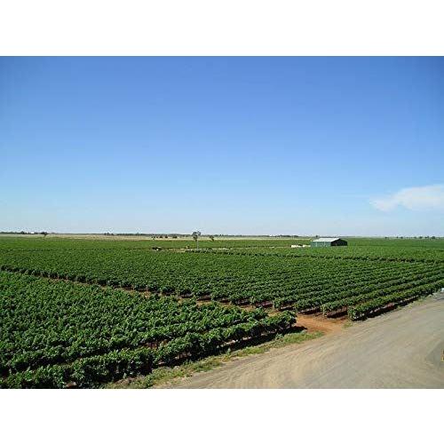 デ ボルトリ ディービー　ロゼ 750ml＜12本セット＞ロゼワイン 辛口 オーストラリア【キャンセル・返品・交換不可】 |  | 05