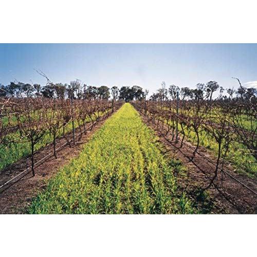 アルクーミ シラーズ/ヴィオニエ [ 赤ワイン フルボディ オーストラリア 750ml ]＜12本セット＞【キャンセル・返品・交換不可】 |  | 01