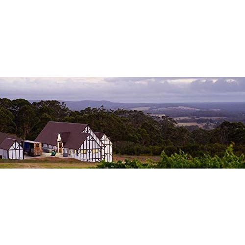 カステリ ザ サム ピノ・ノワール [ 赤ワイン ミディアムボディ オーストラリア 750ml ]＜12本セット＞【キャンセル・返品・交換不可】 |  | 06