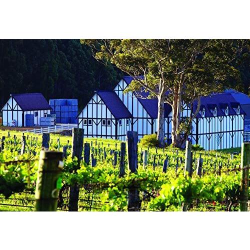 カステリ ザ サム ソ-ヴィニヨン・ブラン [ 白ワイン 辛口 オーストラリア 750ml ]＜12本セット＞【キャンセル・返品・交換不可】 |  | 01